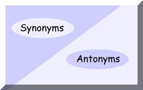 Antonym-Synonym