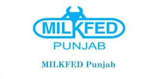 milkfed-punjab-question-papers