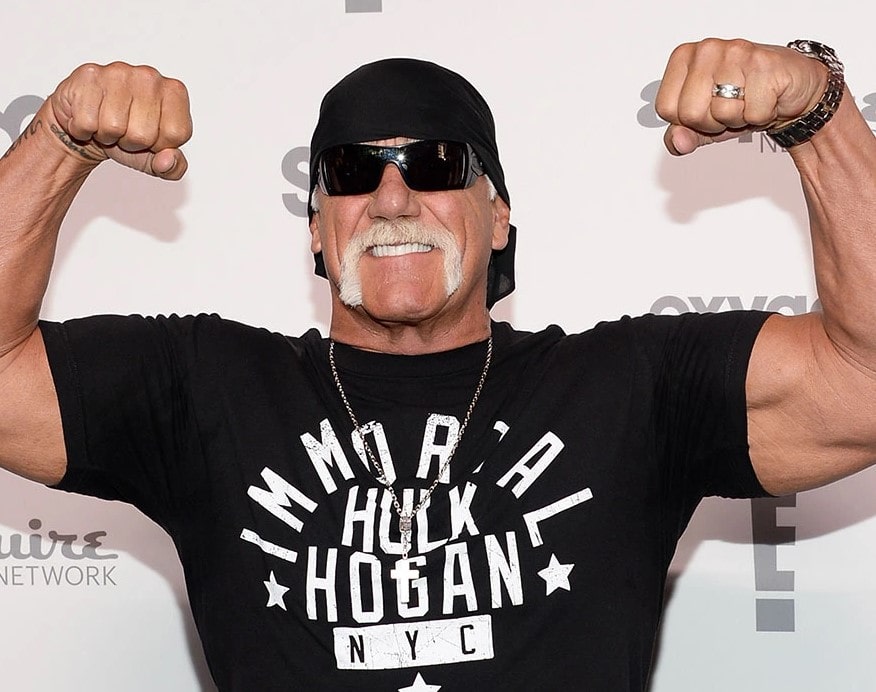 Hulk Hogan: Biography, Wife, Children, Net Worth (2023), Biopic, Career ...