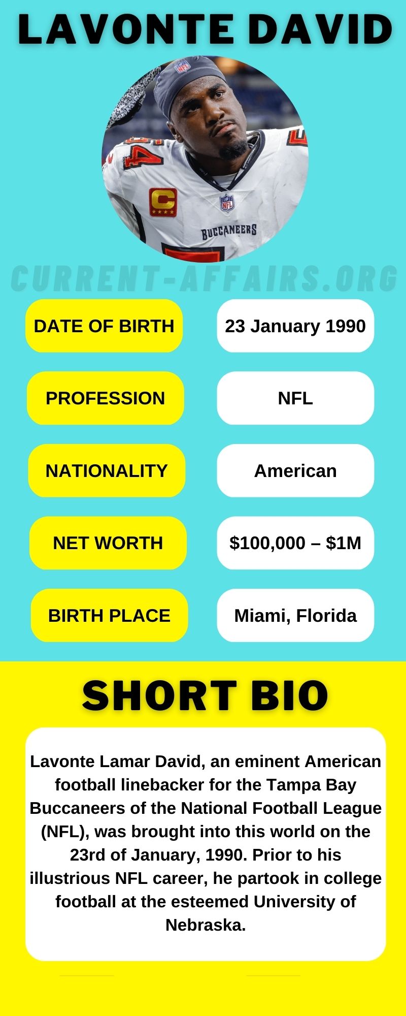 Lavonte Lamar David Infographic