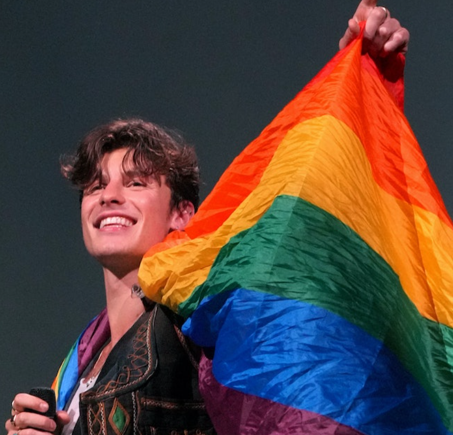 Shawn Mendes Is He Gay or Not? Girlfriend, Sexuality, Bio, Wiki