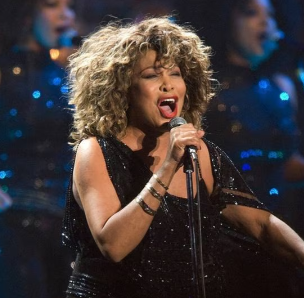Are Tina Turner & Whitney Houston related to each other? What is her
