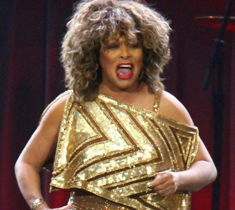 Are Tina Turner & Whitney Houston related to each other? What is her