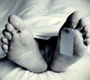 Lucas Cardillo Obituary 