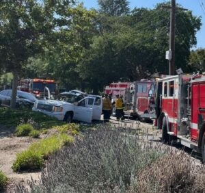 Mitchell Katz Car Accident