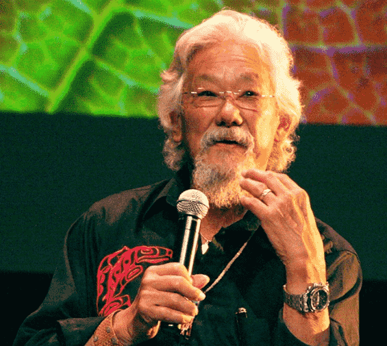 Did David Suzuki Died? Obituary And Death News Explored