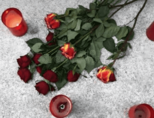 Trina Northrop Obituary