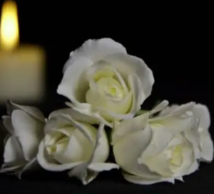 Ryan Nicole Falconer Obituary