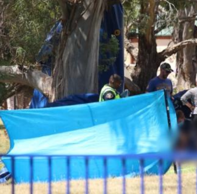 Hillcrest Primary School: What Happened Their? Castle Accident