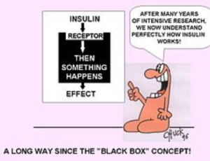 Pierre De Meyts Research