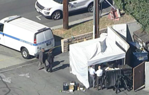 Samuel Haskell Arrested