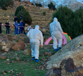 Louisa Vestergaard Jespersen Murder