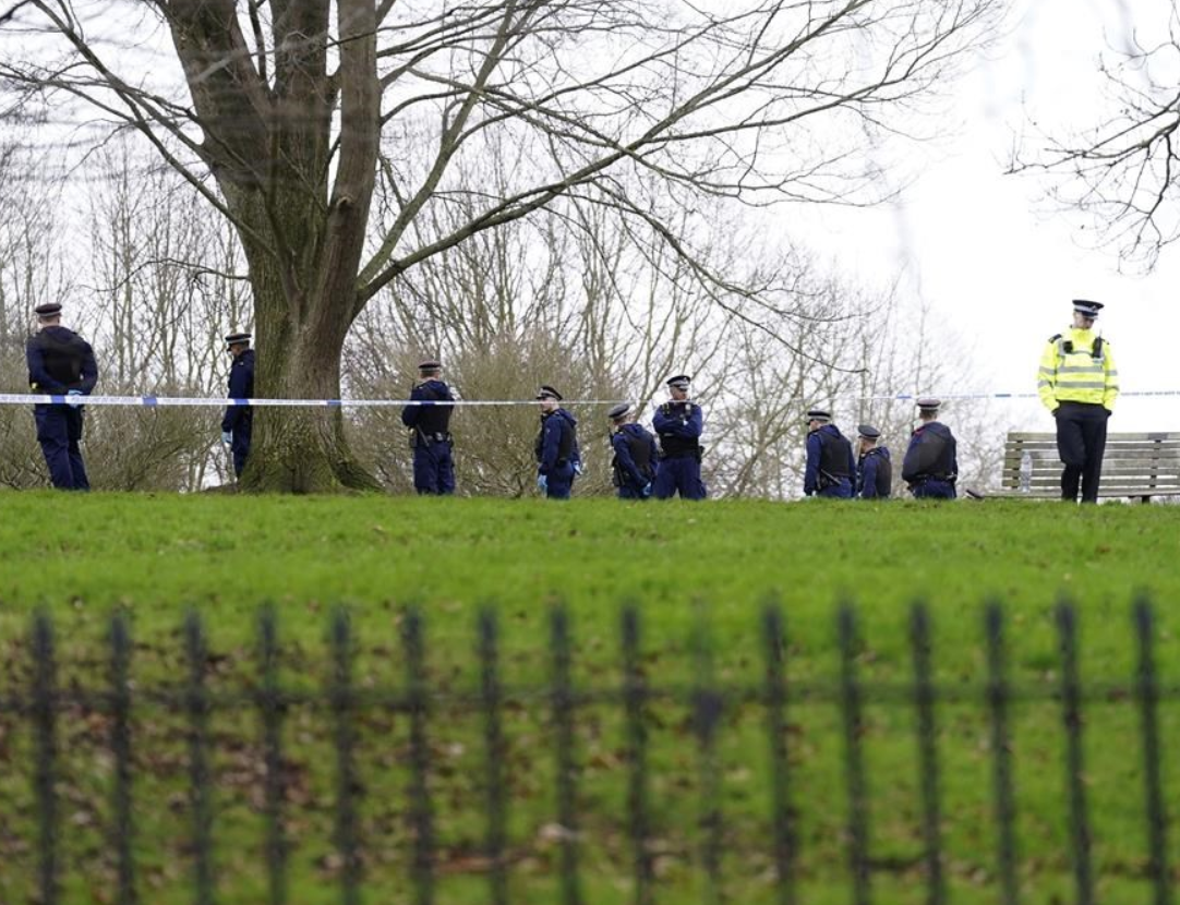 Harry Pittman: Parents, Family And Sibling Bond, Family Ethnicity And