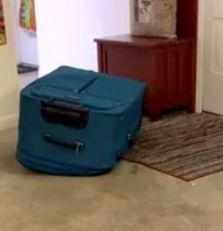 Sarah Boone Suitcess