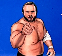 Ole Anderson 