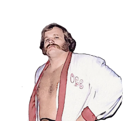 Ole Anderson 