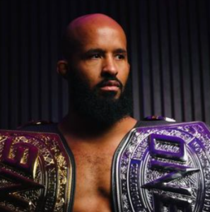 Demetrious Johnson 